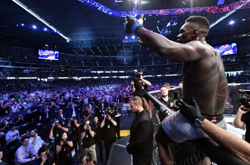 Adesanya Receives Rave Reviews After UFC Title Unfication Win