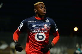 Victor Osimhen's £75m Transfer Fee Scares Suitors Away From Lille Hitman